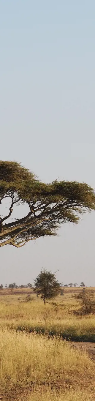 Afrika-Feeling pur!